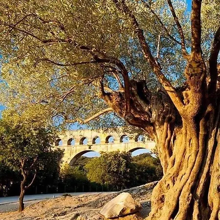 Acces Autonome Beaucaire (Gard)