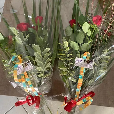 Nocleg ze śniadaniem Acces Autonome