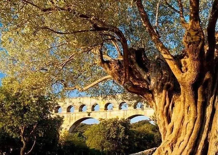 Acces Autonome Beaucaire (Gard)