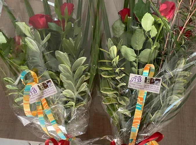 Alojamento de Acomodação e Pequeno-almoço Acces Autonome